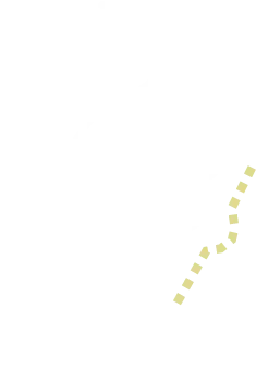 前歯で噛めない、口ゴボ