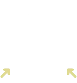 エラが張っている